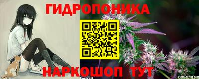 mdpv Славгород