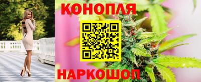 mdpv Славгород