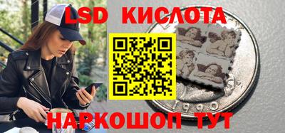 mdpv Славгород